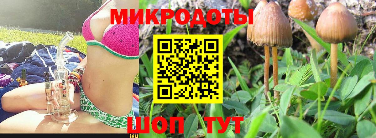 Кашира  Галлюциногенные грибы Magic Shrooms  Псилоцибиновые грибы MAGIC MUSHROOMS  Вход с VPN 